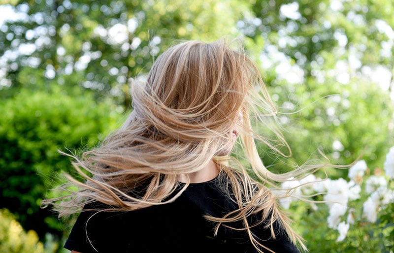 pre-shampoo treatment with olive oil